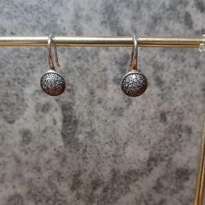 Elegant Silver Drop Earrings